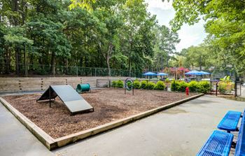 Dog park